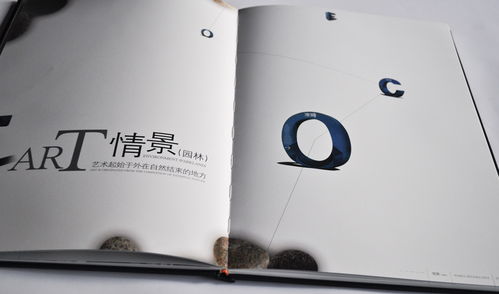 澳城樓書 深圳專業廣告設計與品牌形象塑造的領軍者